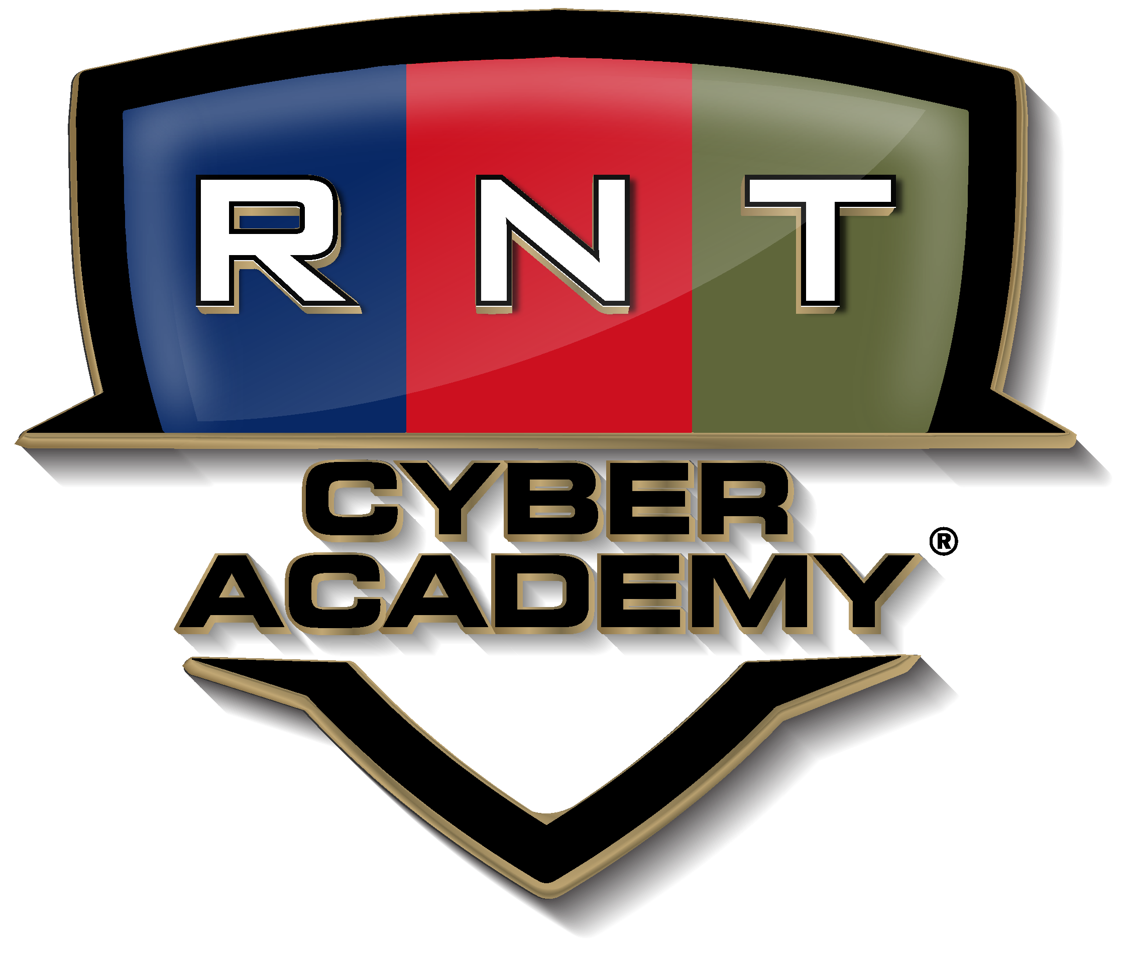 RNT Cyber Academy Logo